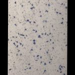 Terrazzo Blue 6×12 Tile